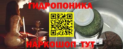 твердый Новодвинск