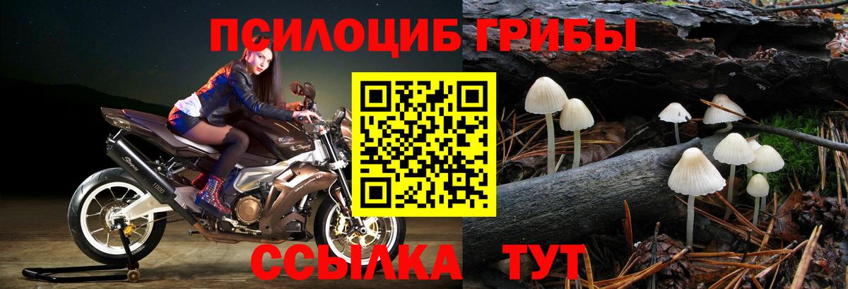 Псилоцибиновые грибы MAGIC MUSHROOMS  Вход с VPN  Борзя 
