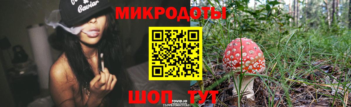 Галлюциногенные грибы Psilocybine cubensis Борзя